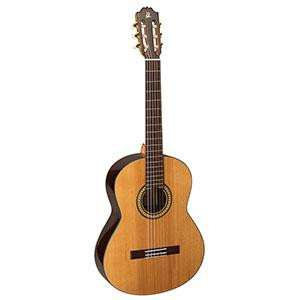 Guitar Admira a15
