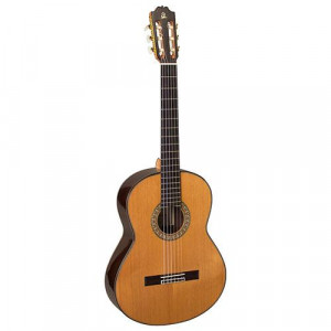 Guitar Admira a20
