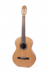 guitar antonio sanchez s10