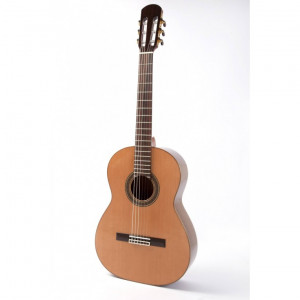 guitar raimundo 123