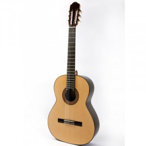 guitar raimundo 145