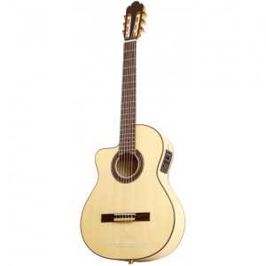 guitar raimundo 630e