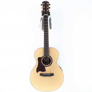 guitar raimundo ms301e