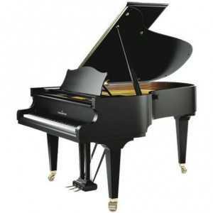 Piano C.Bechstein C.B192