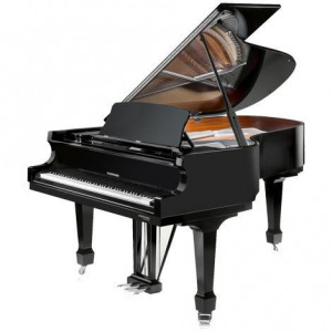 Piano W.Hoffmann P206